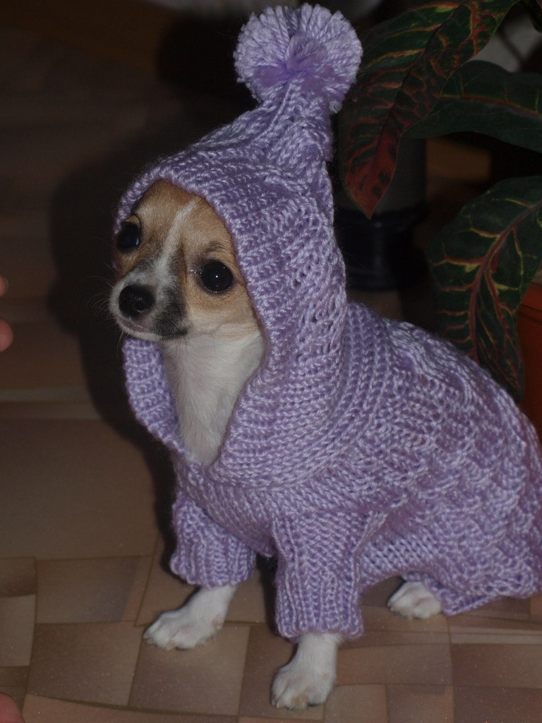 Елена Тяминашагина | Волосово