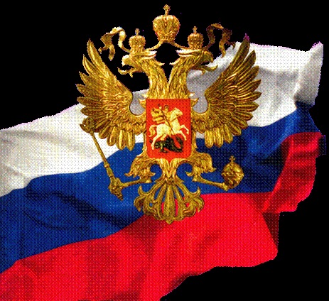 Андрей Никульшин фото профиля #1