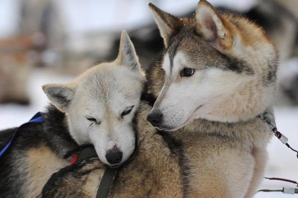 Оля Таджединова | Киев