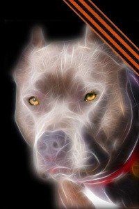 Александр Марченко | 