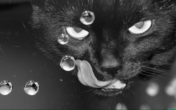 №82, Анна Хильковская, Харьков №82, Анна Хильковская, Харьков