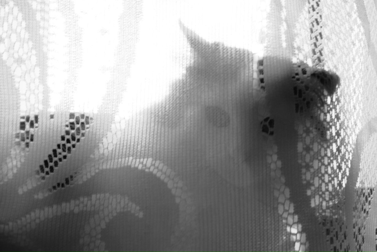 Наталья Илиева | София