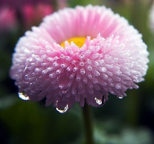 №57, Юлия Себова, 29.12.1983, Одесса №57, Юлия Себова, 29.12.1983, Одесса