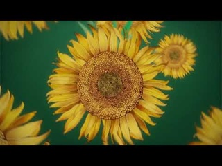 Август - Алтай (2023)