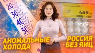 Дефицит яиц. Аномальные холода