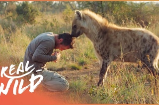 Incredible Human And Animal Friendships | Animal Odd Couples | Real Wild