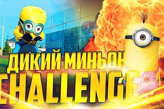 Дикий миньон челендж