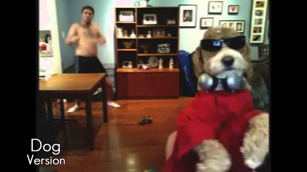Ultimate Harlem Shake