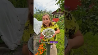 Идеальный лучок под шашлычок!