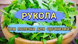 🥬Зелень: Польза руколы🥬
