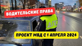 Водительские права с 1 апреля 2024: новый проект МВД