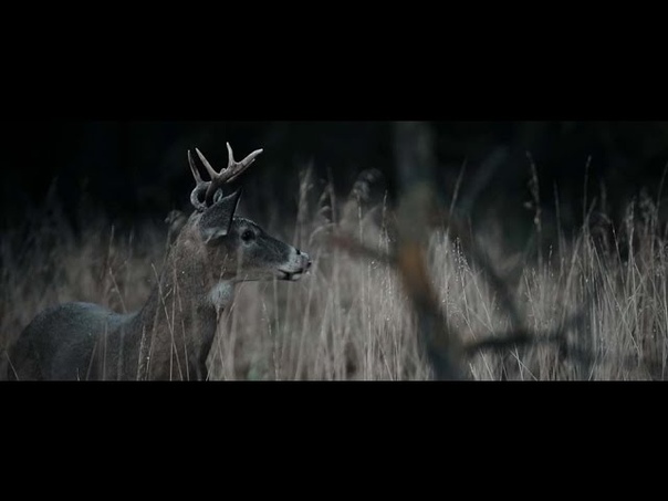 2014, 2015 Hunting Film Tour: Game of