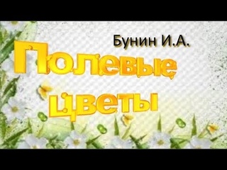 Бунин И.А. Полевые цветы