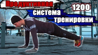 Чистые отжимания 1200 раз за один подход! Зимняя Рабочая схема.