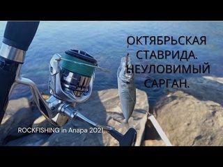 ОКТЯБРЬСКАЯ СТАВРИДА ЧЕРНОГО МОРЯ. Неуловимый САРГАН!