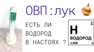 ОВП репчатый лук