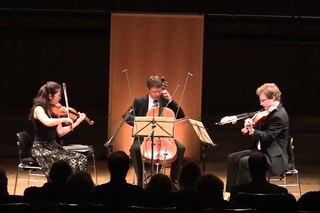 BWV 988 - Goldberg Variations for String Trio