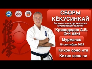 Сборы по Кёкусинкай Мурманской области / Кихон соно ити / Кихон соно ни ()