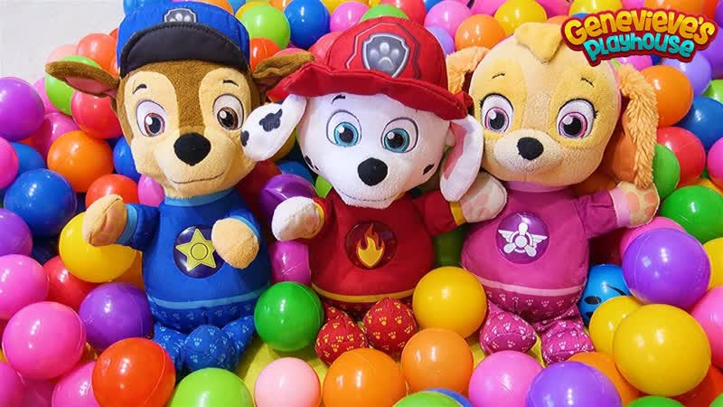 Paw Patrol Baby Pups Home Alone and get a New House Learning Videos for
