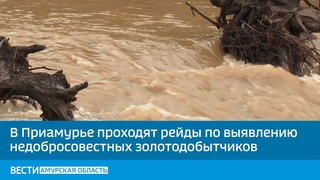 В Приамурье проходят рейды по выявлению недобросовестных золотодобытчиков