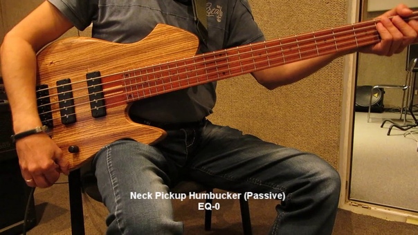 Ash Singulus 5 String Bass