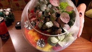 DIY: Флорариум самый простой и красивый/ЗАСНЕЖЕННЫЙ САД