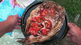 САЗАН на МАНГАЛЕ ... Сам поймал, сам приготовил ... Вкуснейшая запеченная рыба!