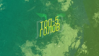 ТОП-5 голов Лесная Лето 2024 (6 тур)