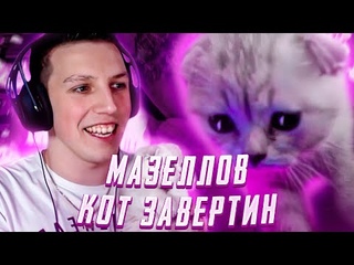 МАЗЕЛЛОВ И КОТ ЗАВЕРТИН НА СТРИМЕ | КОТ СПИТ У МАЗЕЛЛОВА