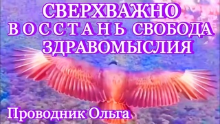СВЕРХВАЖНО ВОССТАНЬ СВОБОДА ЗДРАВОМЫСЛИЯ @novoe_probujdene_chelovchestva