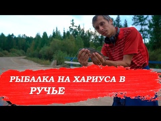 Рыбалка на хариуса в ручье
