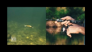 Lure Masterclass: Spearhead Ryuki 45S - How to