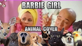 Aqua - Barbie Girl (Animal Cover)