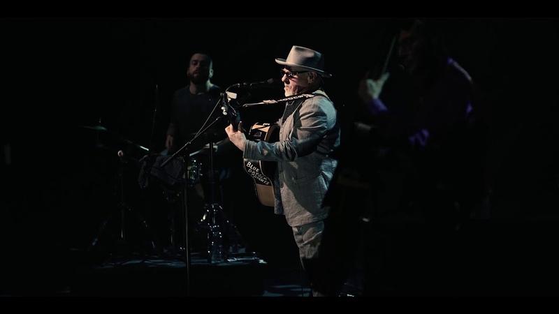 Paul Carrack Raining in My Heart ( Live in Brighton,
