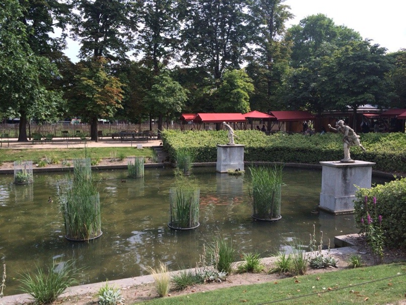 Елена Гусева | Санкт-Петербург