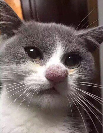 Александр Сенькин |