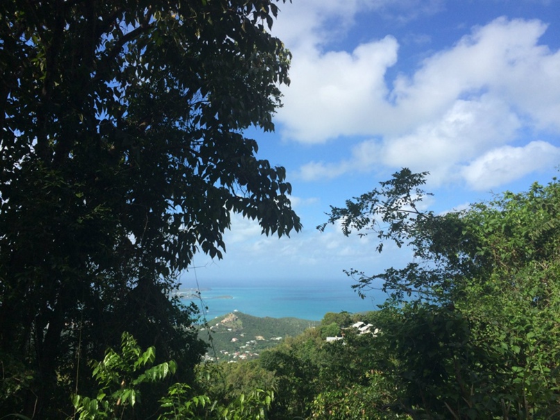 Ирина Воронкина |