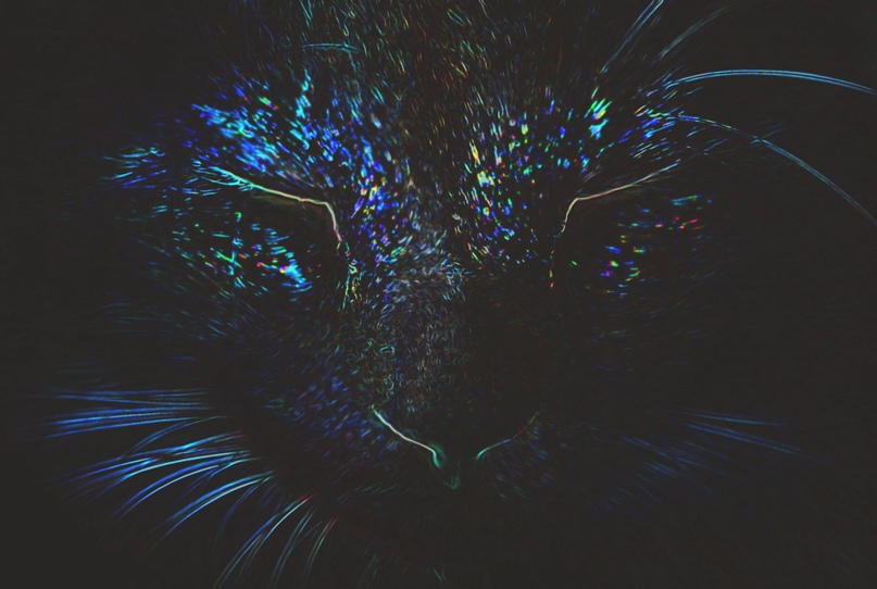 Татьяна Супрун | Санкт-Петербург