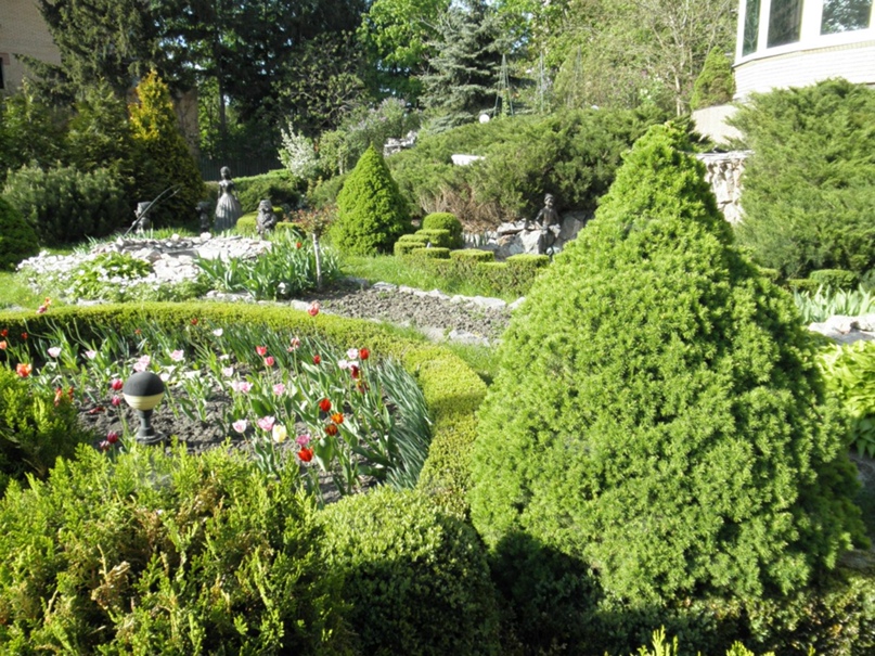 Даша Мельник | Киев