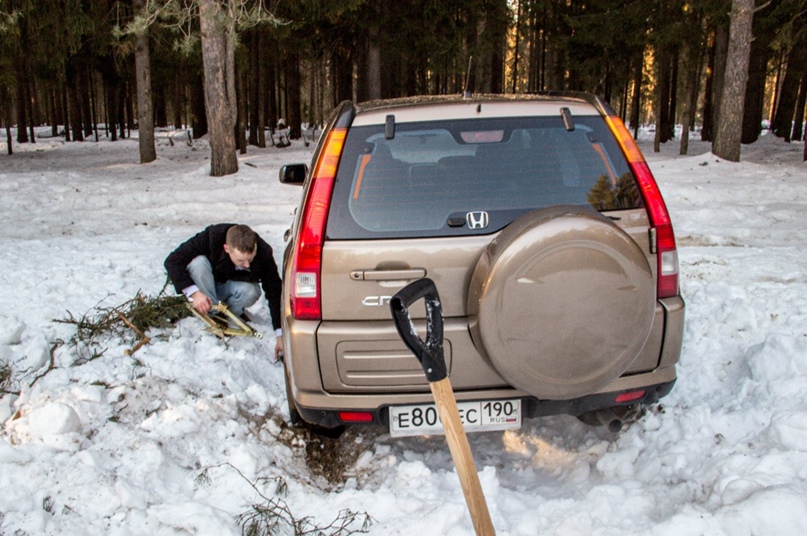 Елена Космодемьянская | Москва