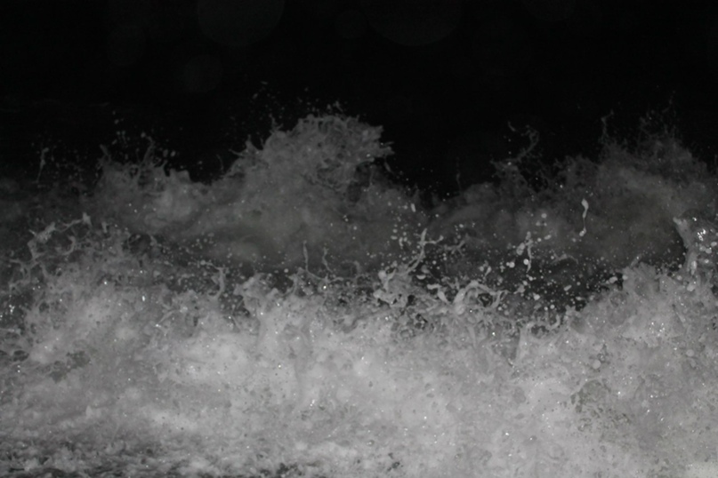 Андрей Старостин | Витебск