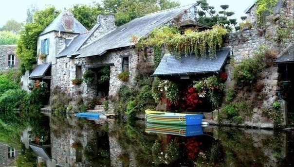 Светлана Рифовна |