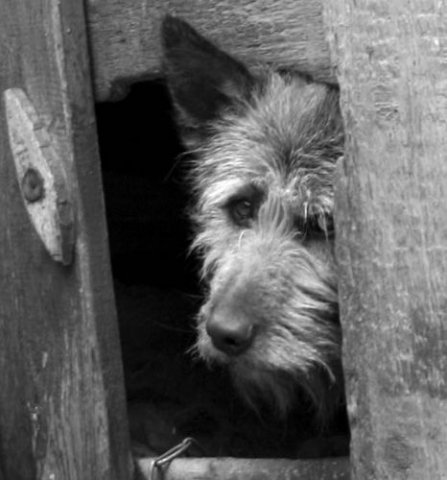 Павел Акимкин Akima | Москва