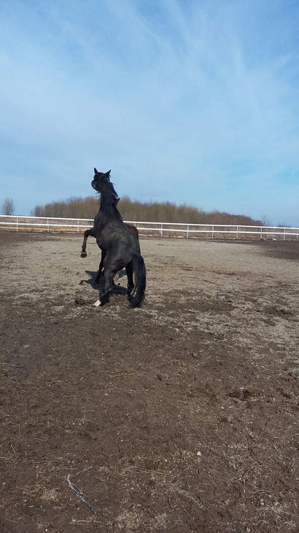 Дина Сереброва *Всё чудненько* | Санкт-Петербург