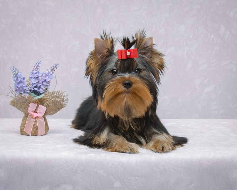 Наталья Крючкова | Киров