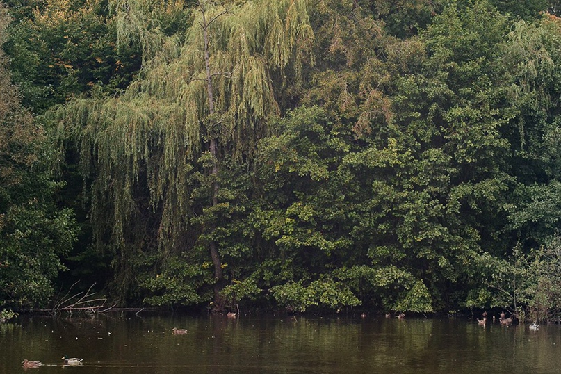 Сергей Воронов | Калининград