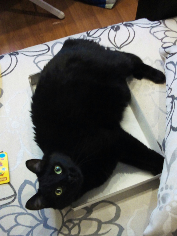 Юлия Колесова | Сыктывкар