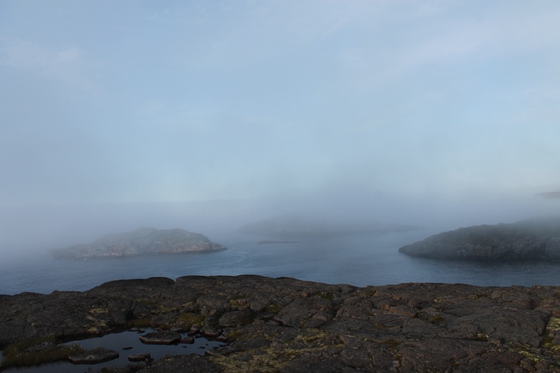 Владимир Стуров | Москва