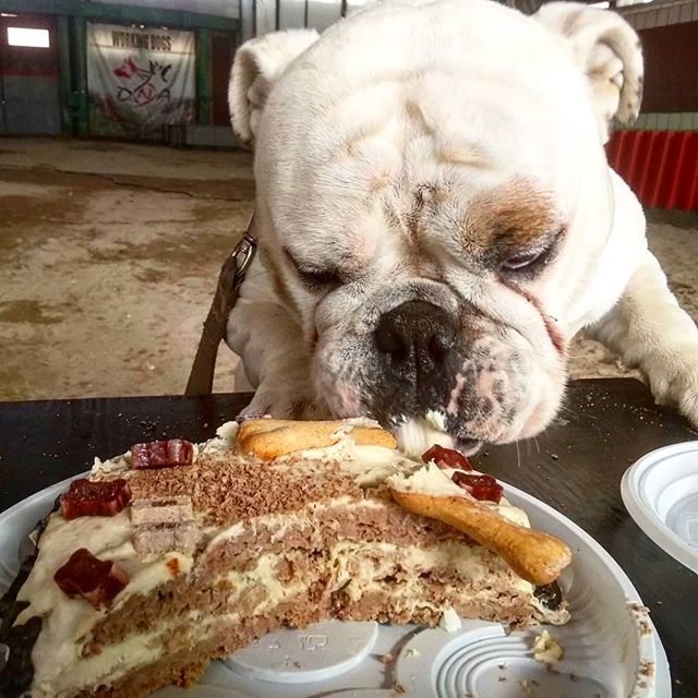 Алина Царёва | Алматы