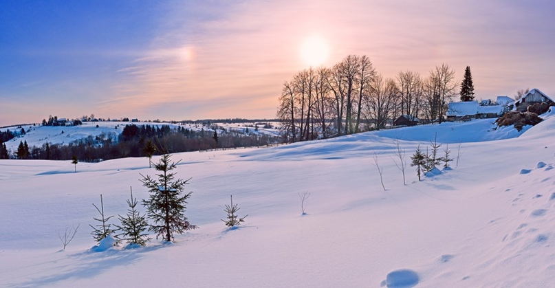 Людмила Григоренко | Калининград
